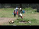 chasingthechickens.swf