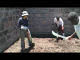 foundationoftoilet1.swf
