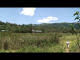 ngonghills.swf