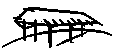 Global Volunteer Network